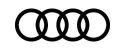 Partner-Logos_audi